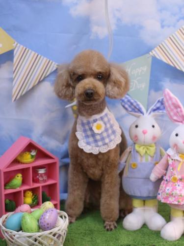 20240301カイくん